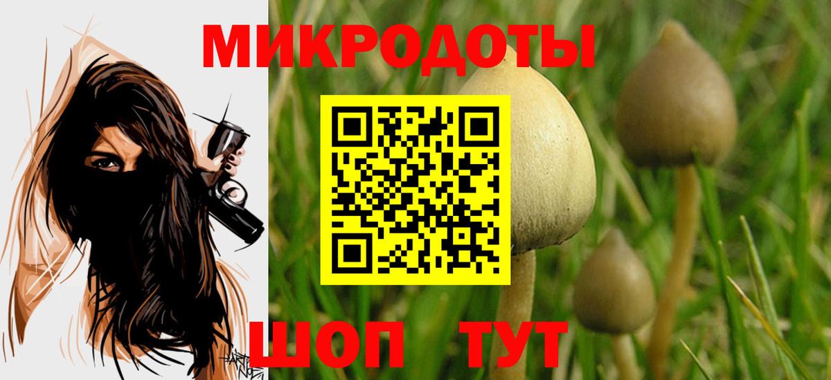 Вологда  Галлюциногенные грибы MAGIC MUSHROOMS  Вход с VPN 